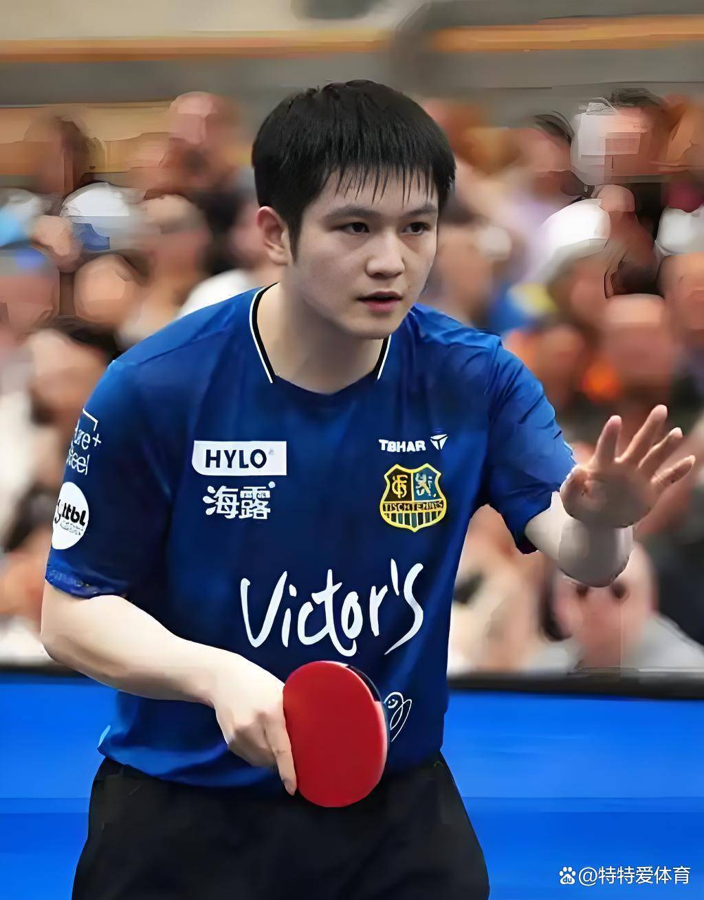 英国乒乓球队爆冷比利时乒乓球队,樊振东制霸全场的简单介绍 英国乒乓球队爆冷比利时乒乓球队,樊振东制霸全场的简单介绍