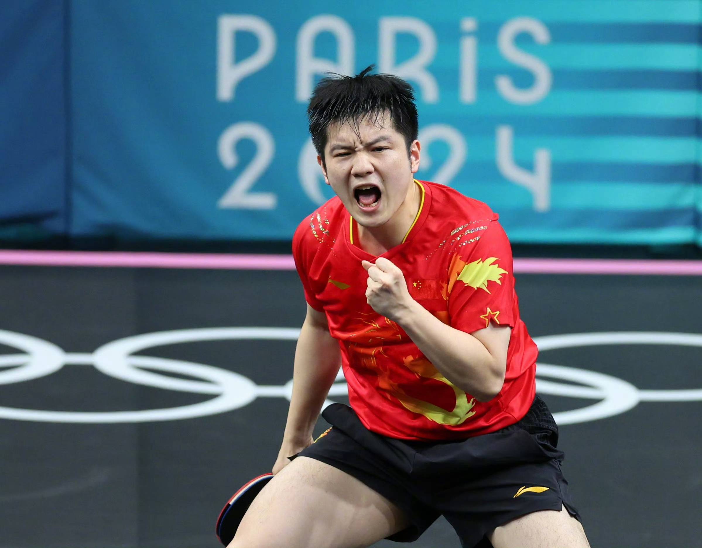 瑞典队完胜法国队，樊振东状态火热的简单介绍