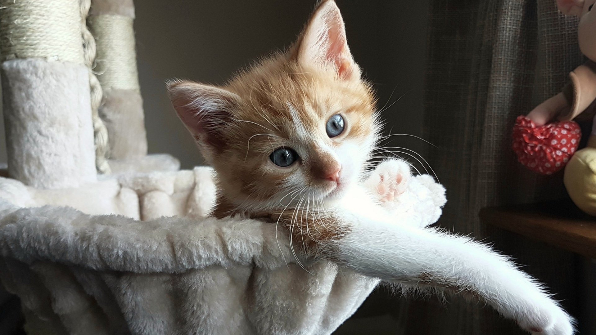 英超争冠之夜，维尼修斯对手完全无解